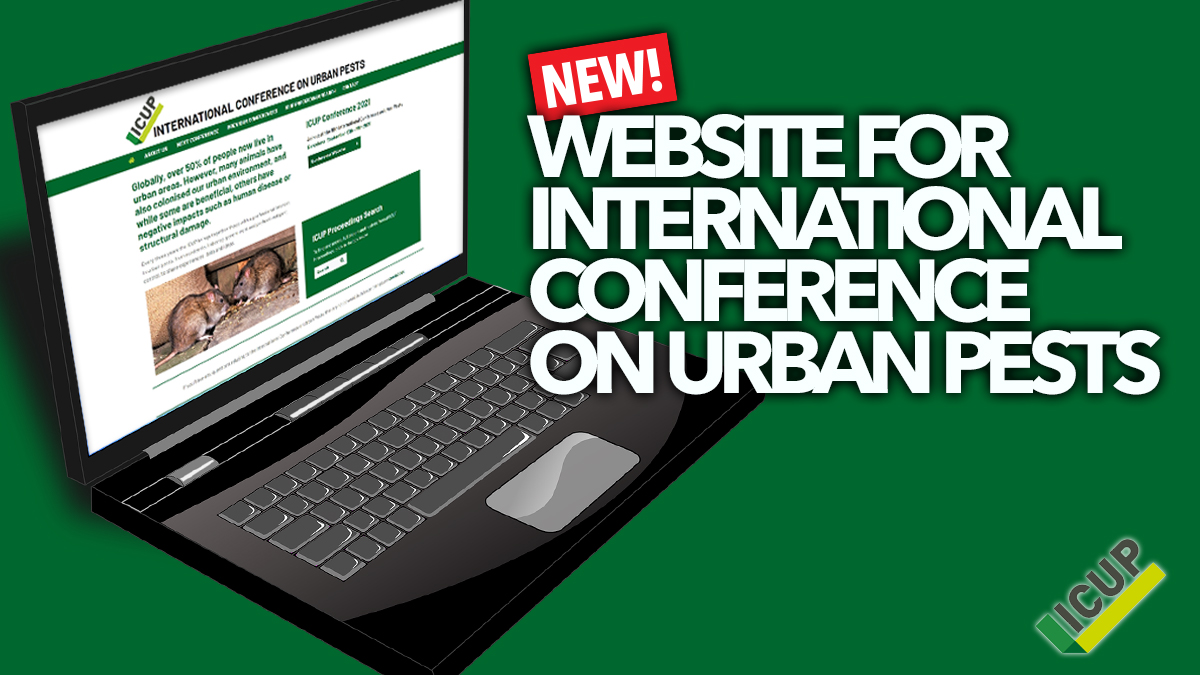 new-website-icup new-website-icup